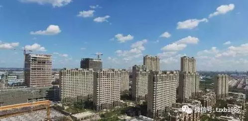 通州重拳出击 严打房地产经纪机构炒房行为，规范市场秩序